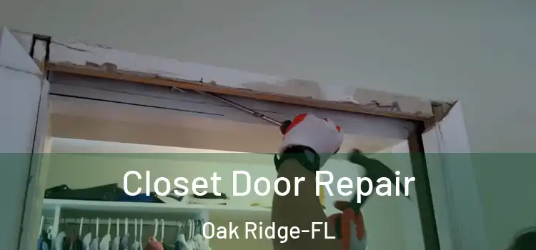  Closet Door Repair Oak Ridge-FL