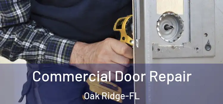  Commercial Door Repair Oak Ridge-FL
