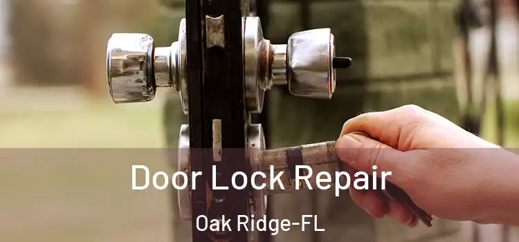 Door Lock Repair Oak Ridge-FL