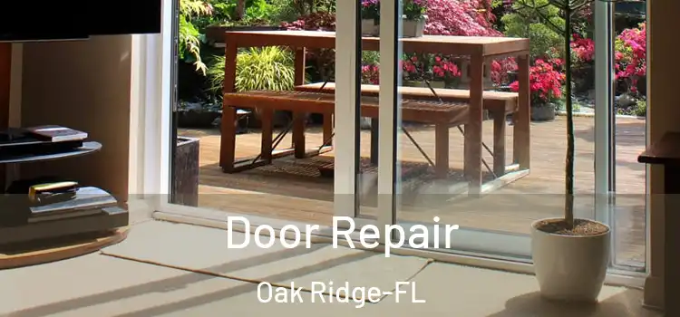  Door Repair Oak Ridge-FL