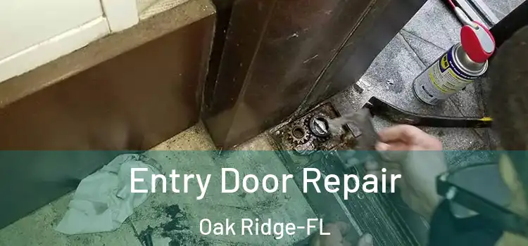  Entry Door Repair Oak Ridge-FL