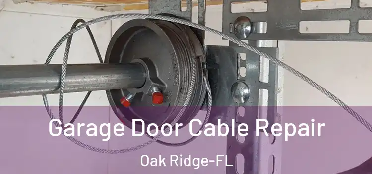  Garage Door Cable Repair Oak Ridge-FL