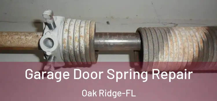  Garage Door Spring Repair Oak Ridge-FL