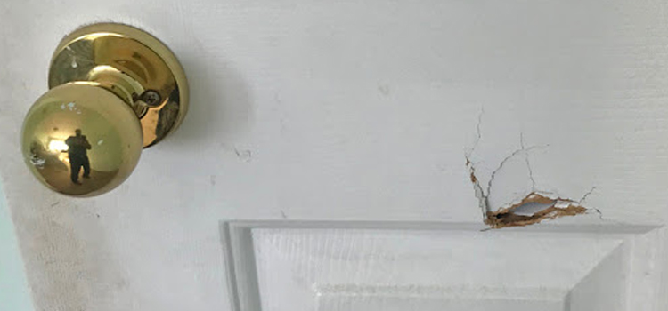 interior door hole repair Oak Ridge