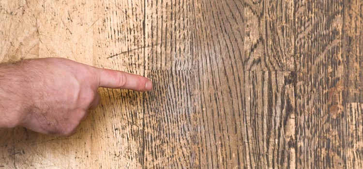 Wood Door Scratch Repair in Oak Ridge