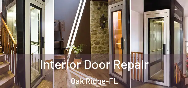  Interior Door Repair Oak Ridge-FL