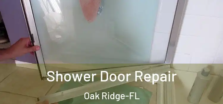  Shower Door Repair Oak Ridge-FL