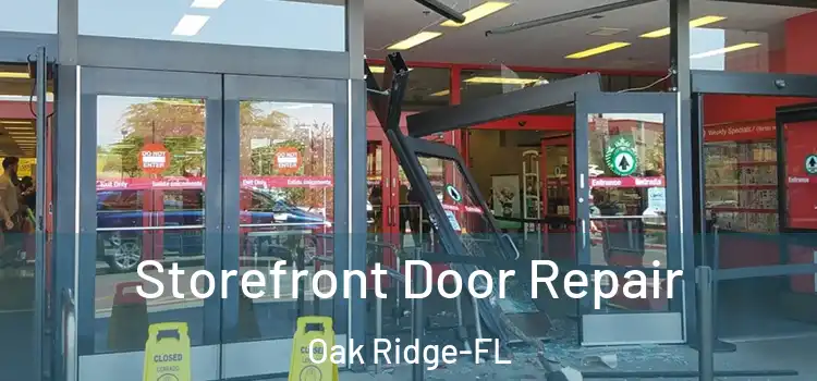  Storefront Door Repair Oak Ridge-FL