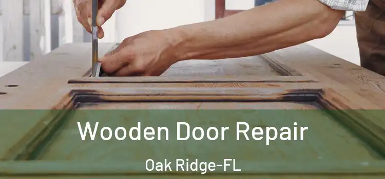  Wooden Door Repair Oak Ridge-FL